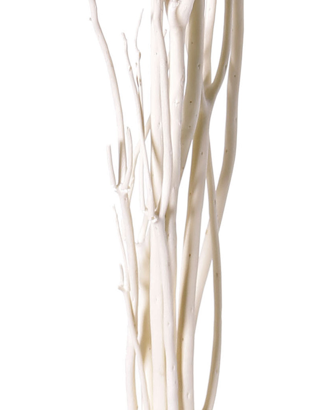 Mitsumata twigs GERY, 5 pieces, cream, 3ft/105cm