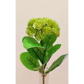 Plastic sedum telephium flower EILIDH, green, 12"/30cm