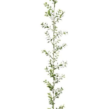 Decorative boxwood garland FRAGNI, 6ft/180cm