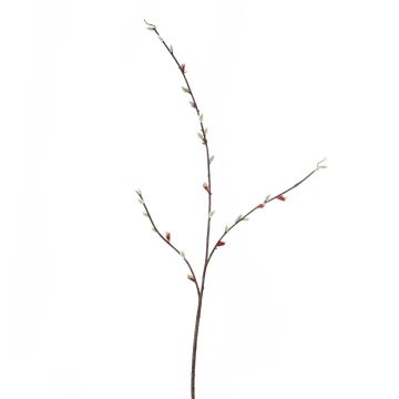 Decorative branch willow catkin SORA, flowering, brown, 3ft/100cm