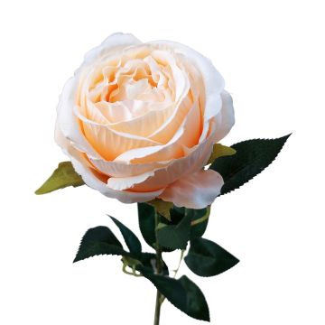 Plastic flower Rose CHERLEN, apricot, 24"/60cm, Ø4"/10cm