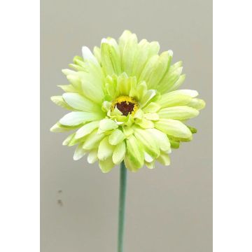 Artificial flower Gerbera TEUDELINDE, green-cream, 22"/55cm, Ø3.1"/8cm