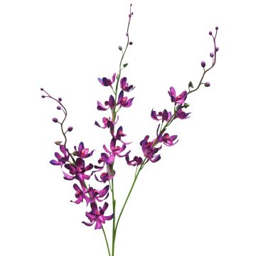 False flower branch Cymbidium orchid MONDEGO, violet, 3ft/95cm