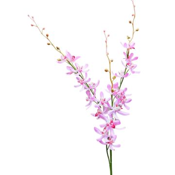 False flower branch Cymbidium orchid MONDEGO, pink-fuchsia, 3ft/95cm