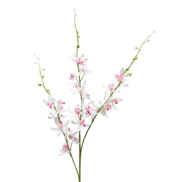 False flower branch Cymbidium orchid MONDEGO, white-fuchsia, 3ft/95cm