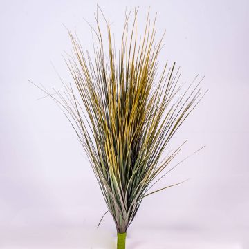 Decorative foxtail grass LENNARD on spike, green-brown, 28"/70cm