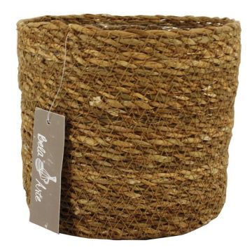 Seagrass basket AMPARO, beige, 5.5"/14cm, Ø6"/16,5cm