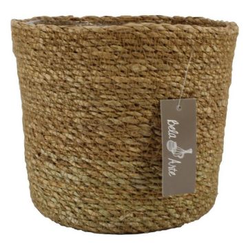 Seagrass basket AMPARO, beige, 6"/16,5cm, Ø7"/19cm