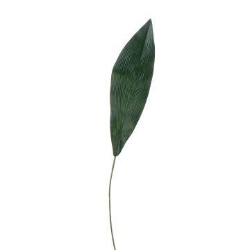 Artificial Aspidistra leaf PAISA, 30"/75cm