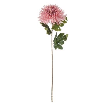 Velvet chrysanthemum RUNDA, dusky pink-peach, 28"/70cm, Ø7"/18cm