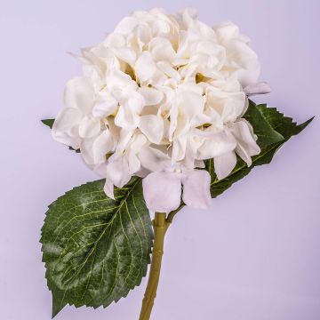 Artificial Hydrangea GABRIELLA, cream, 20"/50cm, Ø 7"/18cm