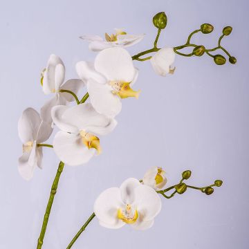 Decorative Phalaenopsis orchid branch LAHNA, white, 3ft/95cm