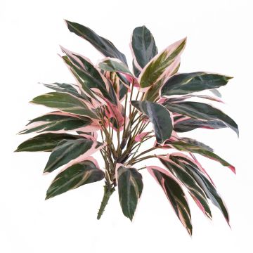 Fake plant Cordyline Fruticosa THAIS, green-pink, 20"/50cm