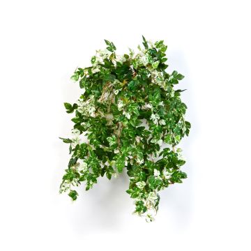 Artificial peppervine SICHIA, spike, green-white, 20"/50cm