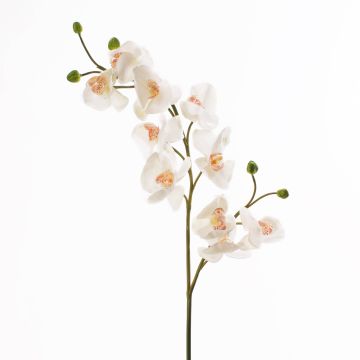 Plastic flower Phalaenopsis orchid STINA, white, 3ft/90cm