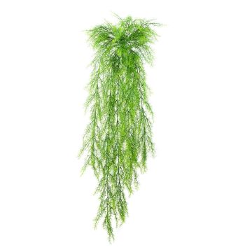 Artificial Asparagus plumosus ILES, spike, 3ft/105cm