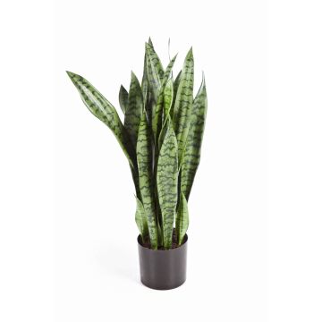 Artificial plant Sansevieria BEYZA, green, 31"/80cm