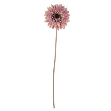 Decorative flower Gerbera TUNGUSKA, dry look, dusky pink, 20"/50cm