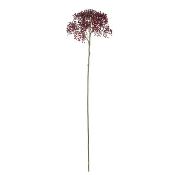 Decorative branch Viburnum VARINKA with buds, dry look, burgundy red, 22"/55cm