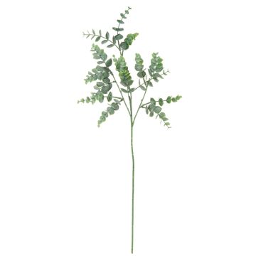 Decorative eucalyptus branch ECOLERA, green-grey, 28"/70cm