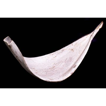 XXL coconut leaf CHIPUNA, whitewashed, 12"-31"/30-80 cm