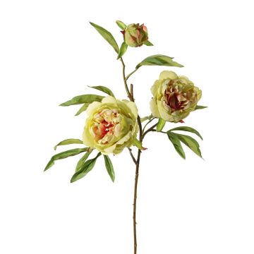 Artificial peony branch MANJA, green-fuchsia, 28"/70cm, Ø3.1"-4"/8-10cm