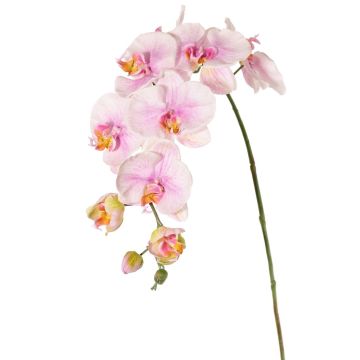 Artificial flower branch Phalaenopsis orchid WESA, pink-white, 3ft/100cm