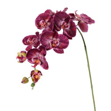 Artificial flower branch Phalaenopsis orchid WESA, dark violet-white, 3ft/100cm