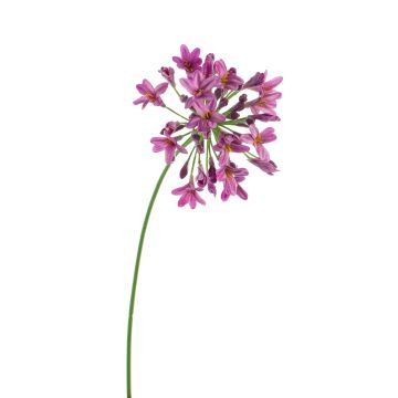 Artificial Agapanthus PHILINA, purple, 30"/75cm, Ø 5.5"/14cm