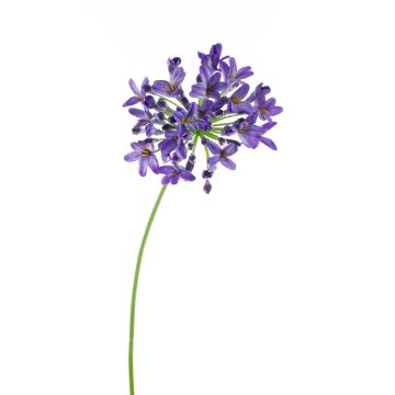 Artificial Agapanthus PHILINA, purple, 30"/75cm, Ø 5.5"/14cm