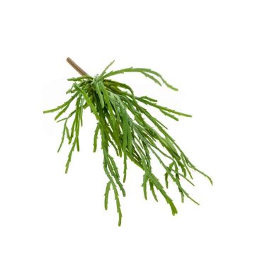 Artificial Rhipsalis plant HADRIAN, green, 14"/35cm