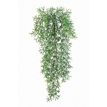 Plastic Asparagus sprengeri CAMILLA, spike, 28"/70cm