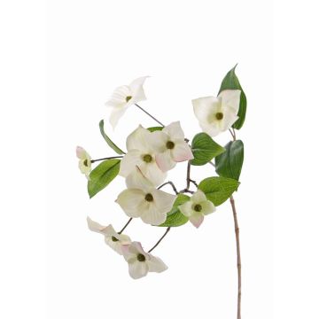 Artificial Japanese dogwood branch KOHANA, flowering, cream, 28"/70cm