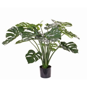 Decorative plant Philodendron Monstera Deliciosa ARELA, 33"/85cm