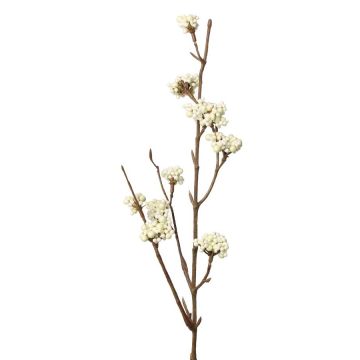 Decorative spray Callicarpa bodinieri LARINA with berries, cream, 20"/50cm