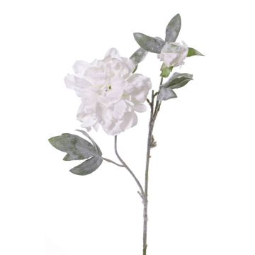 Silk peony MALINE, snow, cream, 24"/60cm, Ø 4.7"/12cm