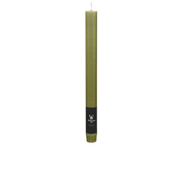 Dinner candle / Tapered candle AURORA, olive green, 11"/27cm, Ø2,3cm, 10h - Made in Germany