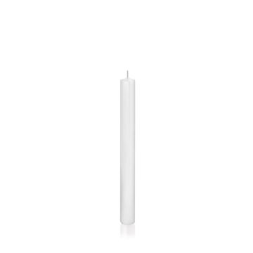 Dinner candle / Tapered candle TARALEA, white, 10"/25cm, Ø2,3cm, 14h - Made in Germany