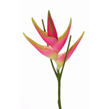 Fake Heliconia flower TOMKE, pink-green, 31"/80cm, Ø 12"/30cm