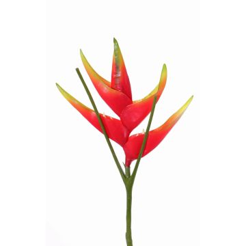 Fake Heliconia flower TOMKE, red-green, 31"/80cm, Ø 12"/30cm