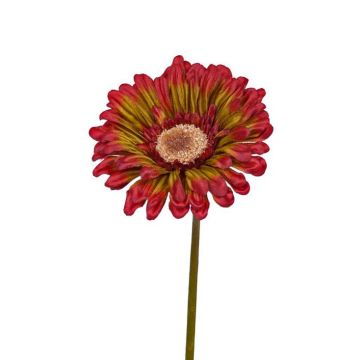 Fake Gerbera ANNEMARIE, red-green, 20"/50cm, Ø 3.9"/10cm