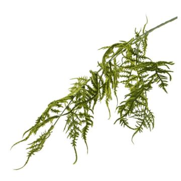 Decorative Asparagus plumosus branch CHRISTIAN, green, 33"/85cm