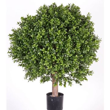 Decorative boxwood TOM, real trunk, crossdoor, 26"/65cm, Ø 20"/50cm