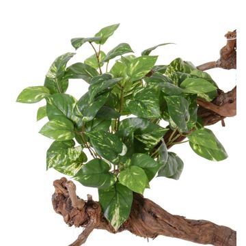 Decorative pothos plant NAEL, spike, flame retardant, green-white, 20"/50cm