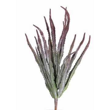 Decorative Euphorbia trigona REESE on spike, red-green, 12"/30cm, Ø 8"/20cm