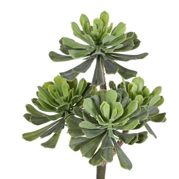 Plastic Aeonium ELOISE, spike, green, 12"/30cm, Ø 8"/20cm