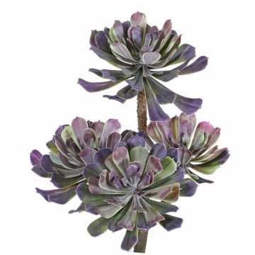 Plastic Aeonium ELOISE , spike, violet-green, 12"/30cm, Ø 8"/20cm