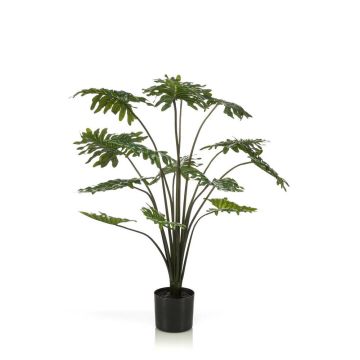 Decorative Philodendron Selloum AWEO, 3ft/95cm