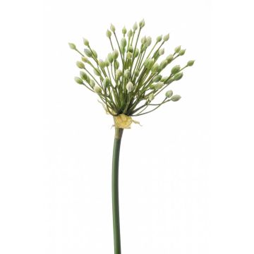 Artificial ornamental allium KATYNA, cream, 28"/70cm