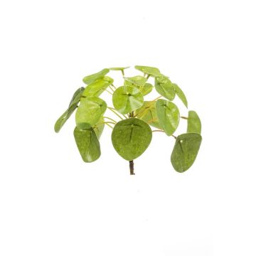 Artificial pancake plant SYBIL, spike, green, 5"/13cm